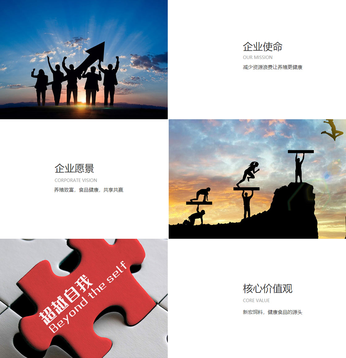 开云电子网站(图1)
